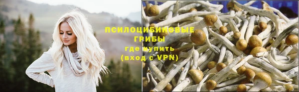 сатива Абдулино