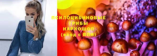 PSILOCYBIN Абинск