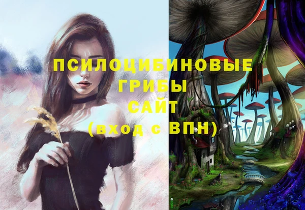 PSILOCYBIN Абинск